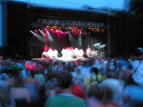 Clumber 70's 2005037