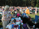Clumber 70's 2005002