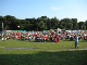 Clumber 70's 2005006