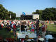 Clumber 70's 2005007