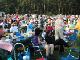 Clumber 70's 2005008
