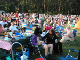 Clumber 70's 2005009
