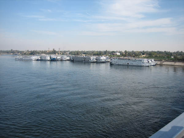 IMG_0595
