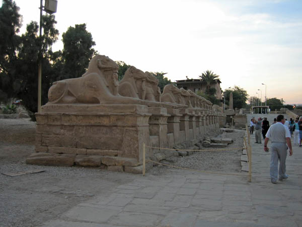 IMG_0655_edited-1
