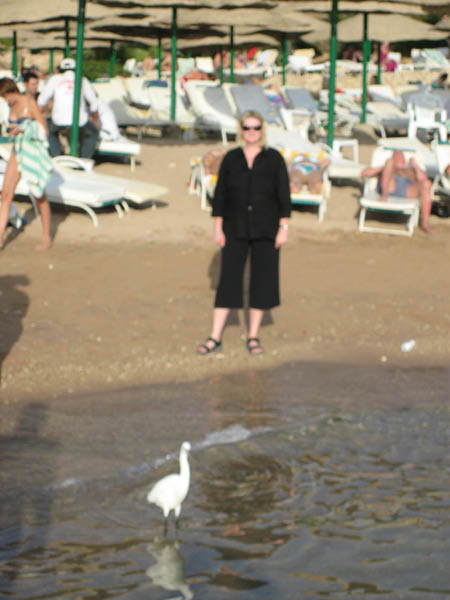 IMG_0701