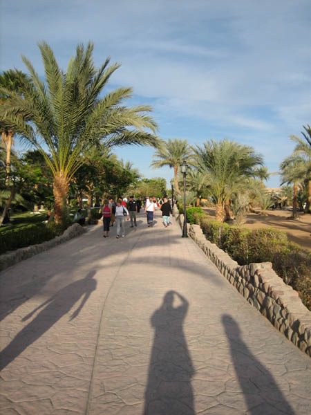 IMG_0705