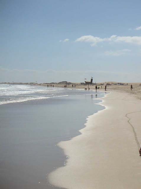 Fuerteventura 008