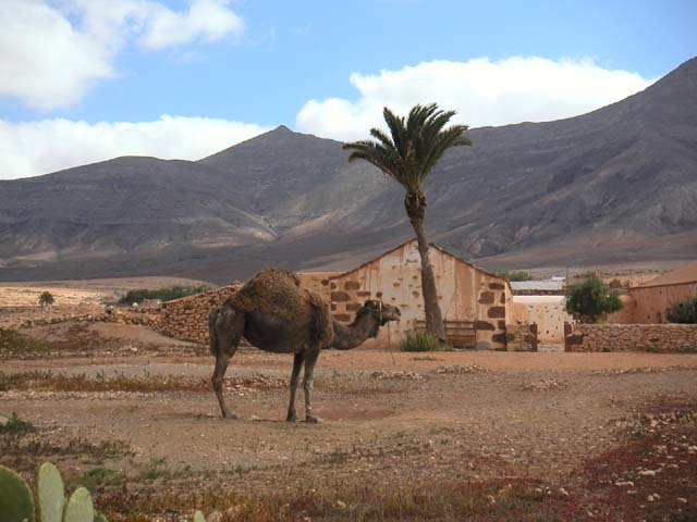 Fuerteventura 023