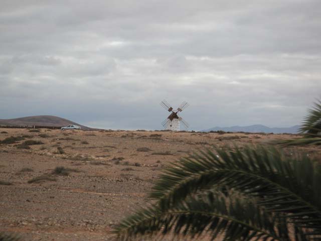 Fuerteventura 066