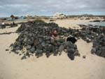 Fuerteventura 034