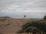 Fuerteventura 066